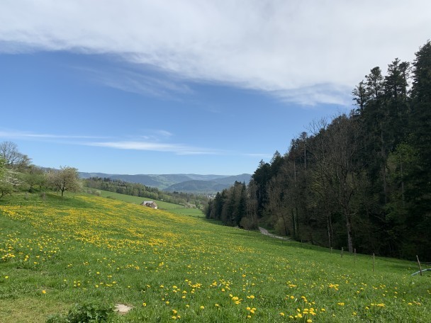 Assistenz W M D Projektforderung Berlin Finest Jobs