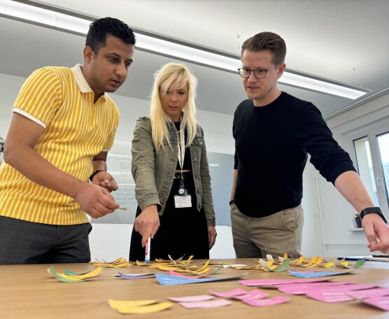 Referent*innen (w/m/d) Szenarien und Simulation PtX Lab Lausitz, 2. Bild
